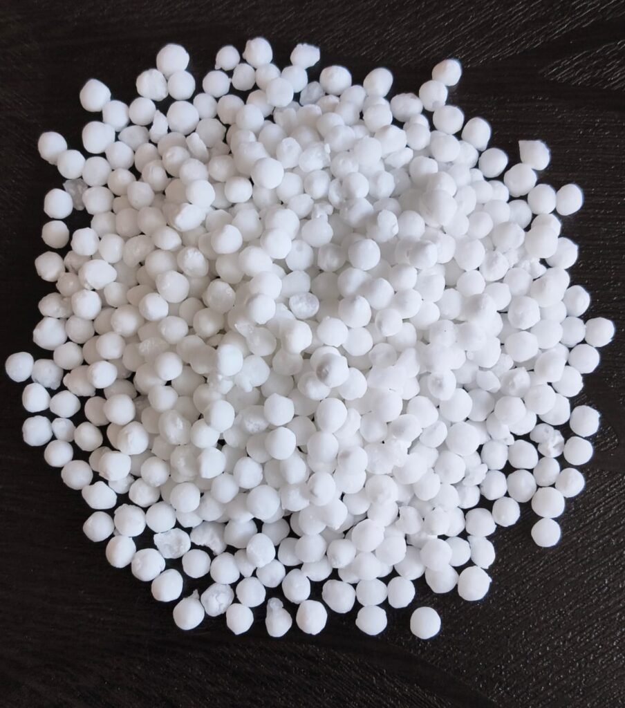 kodai sago milk white